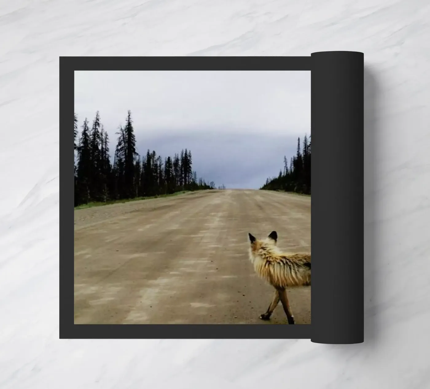 Road Fox zerbino da Kevin Russ