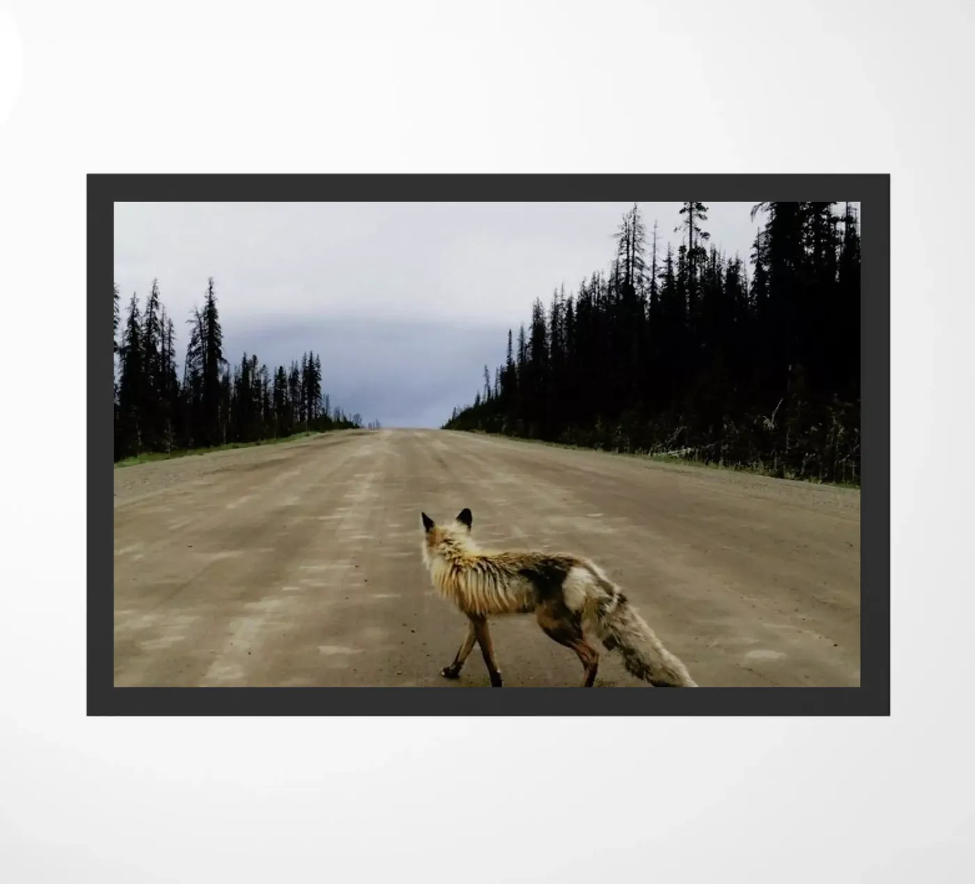Road Fox Fußmatte von Kevin Russ
