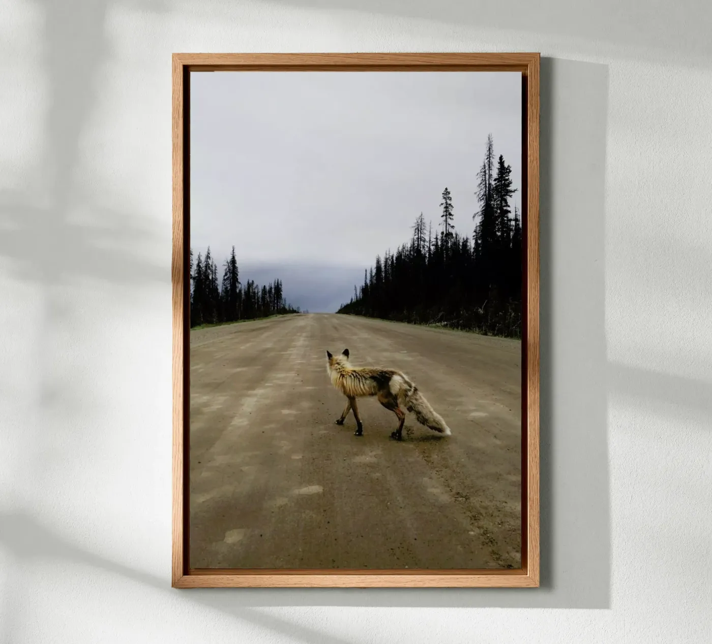 Road Fox pannello forex da Kevin Russ