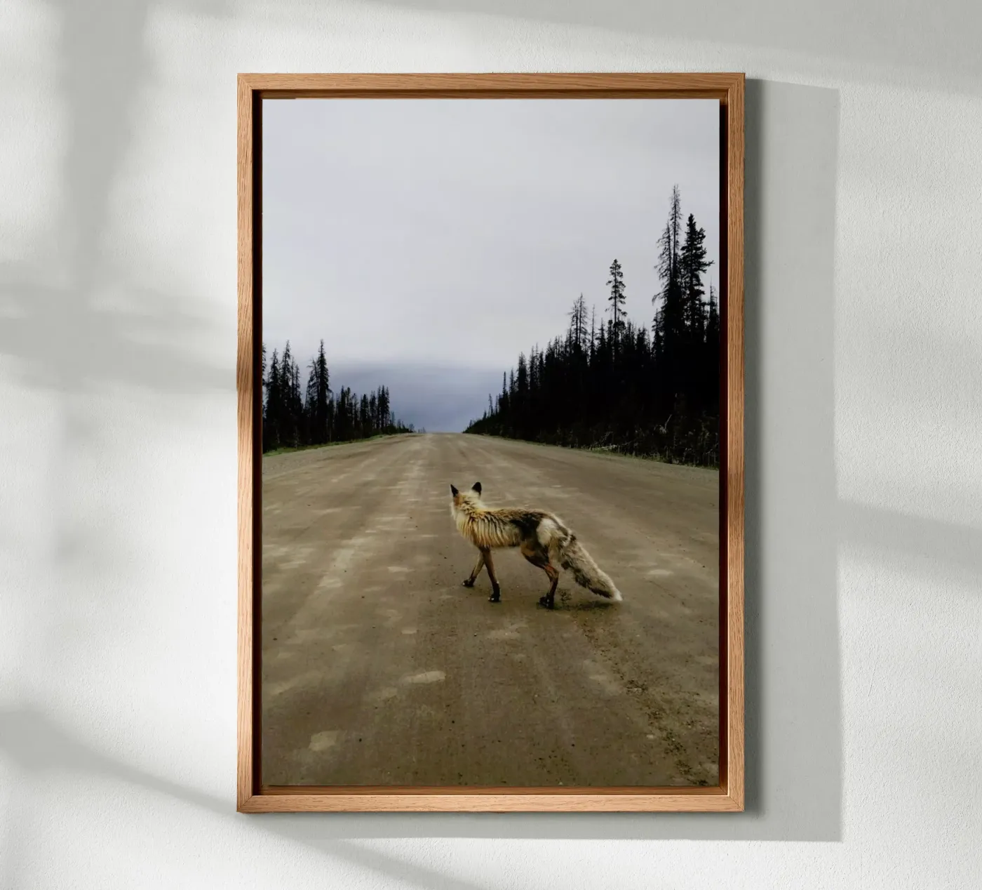 Road Fox tela da Kevin Russ
