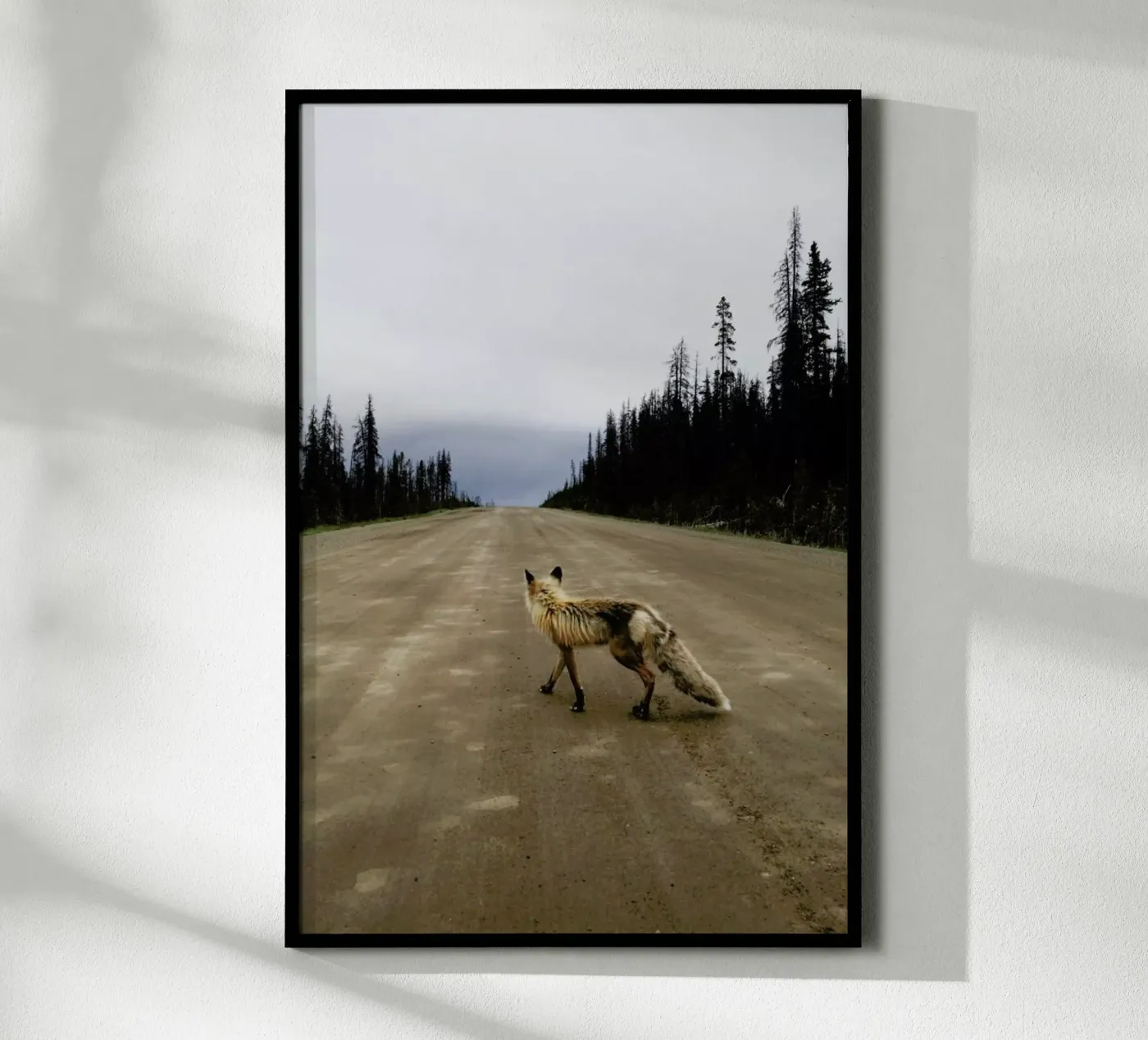 Road Fox poster da Kevin Russ