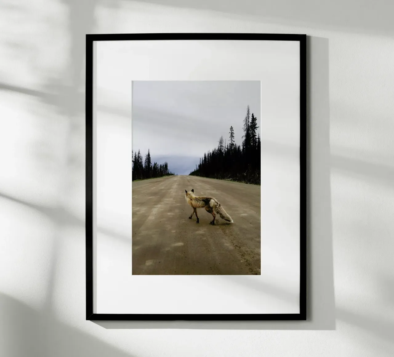 Road Fox poster da Kevin Russ