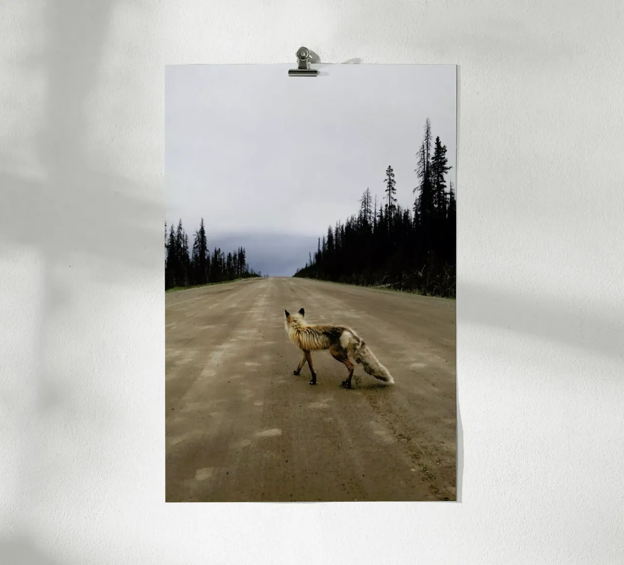 Road Fox poster by Kevin Russ