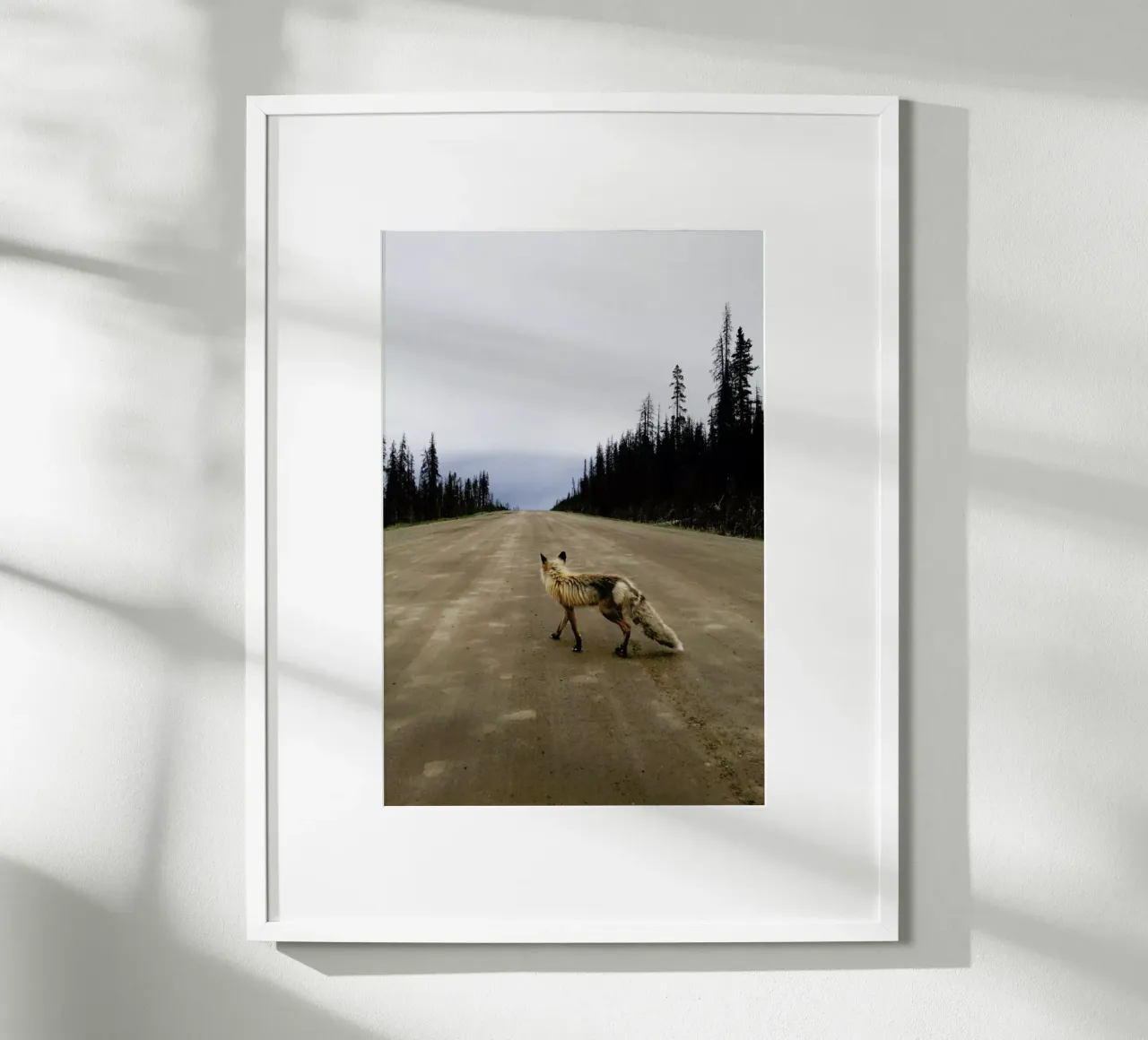 Road Fox poster da Kevin Russ