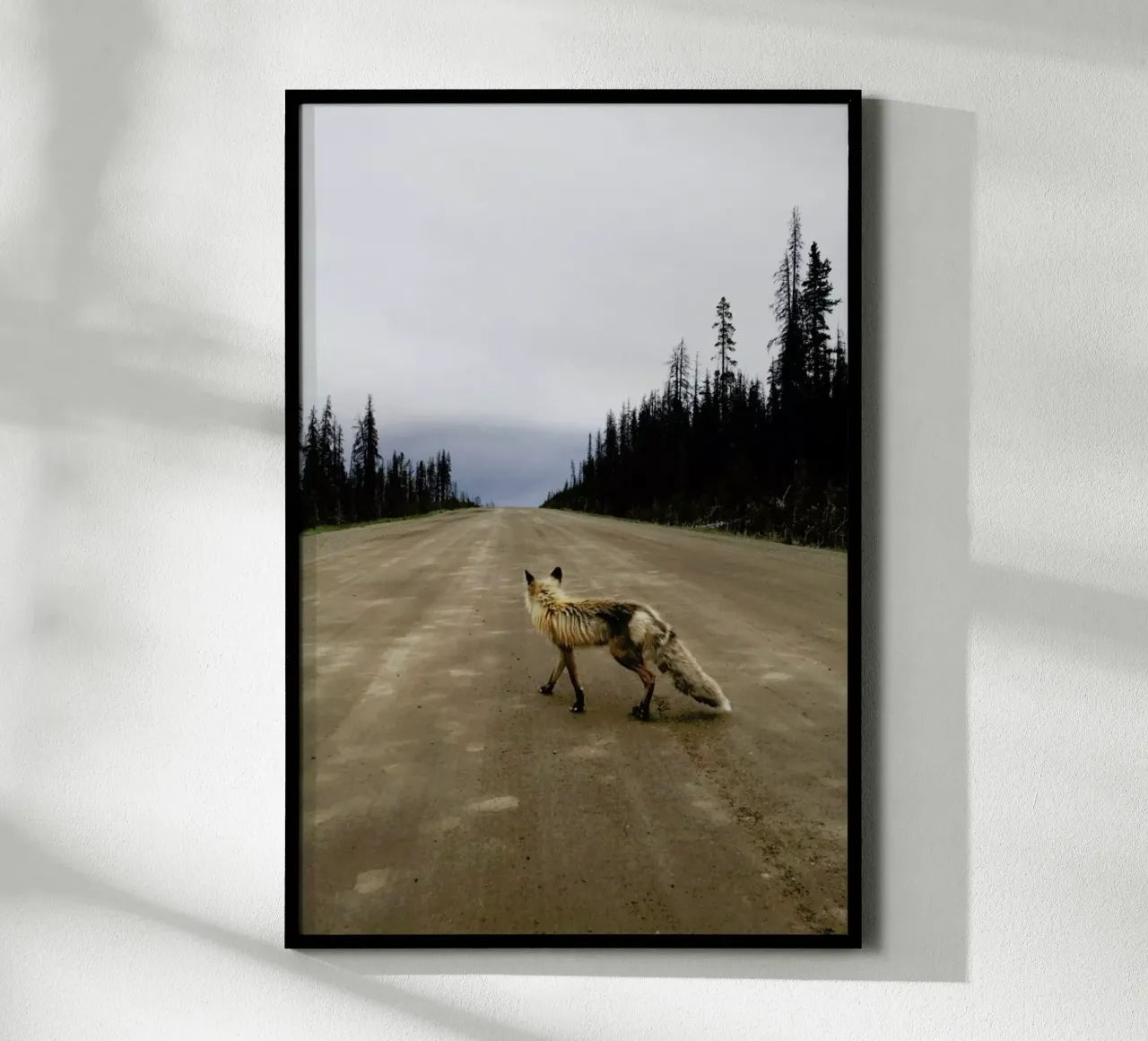 Road Fox poster by Kevin Russ