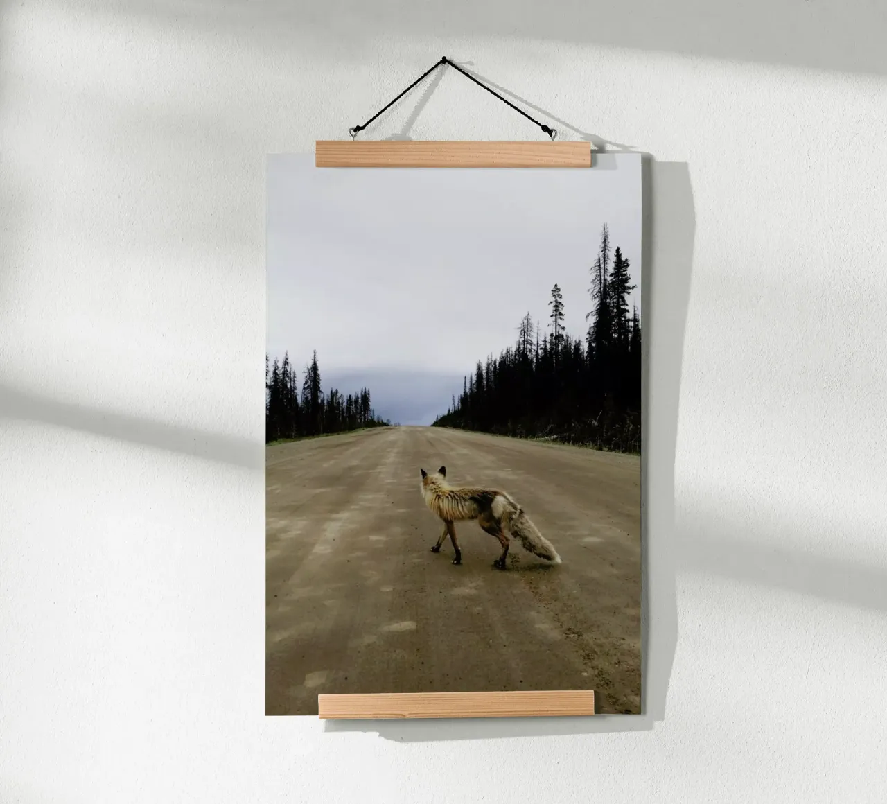 Road Fox poster da Kevin Russ