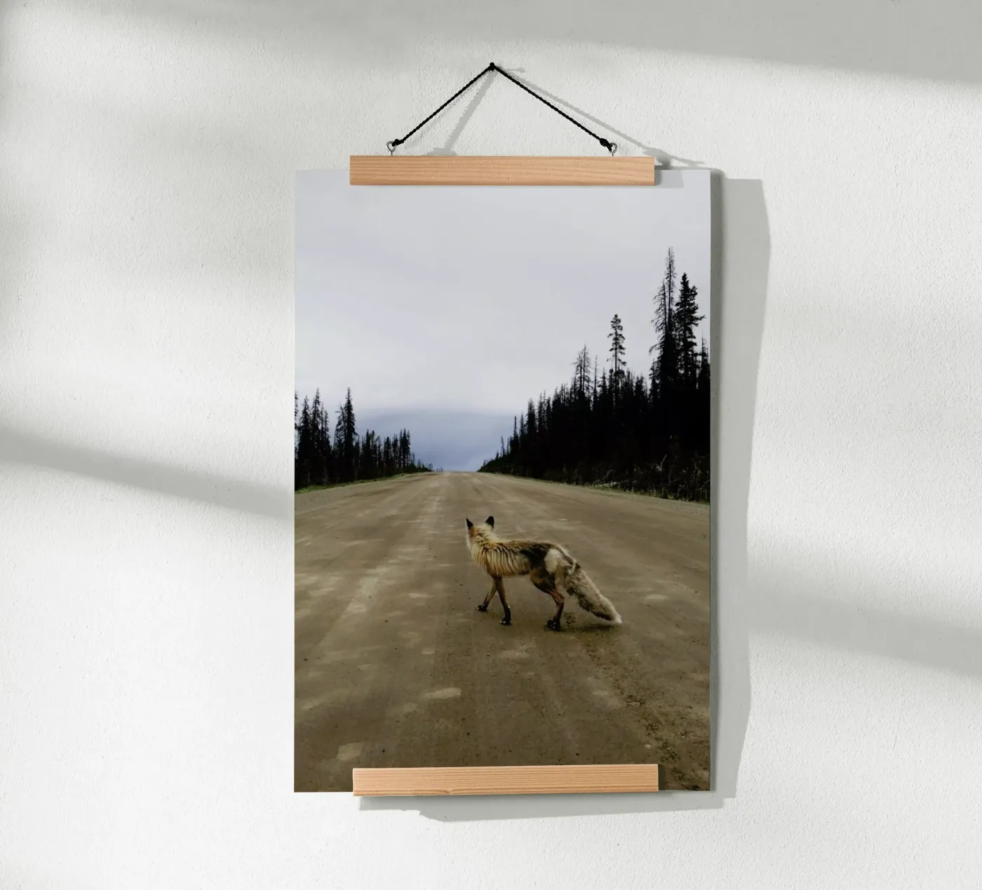 Road Fox poster da Kevin Russ