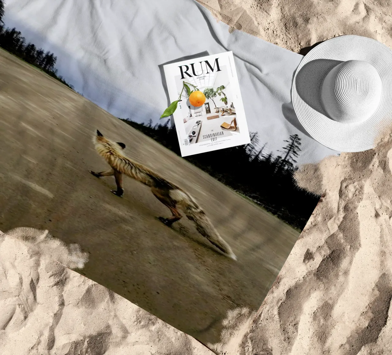 Road Fox telo mare da Kevin Russ