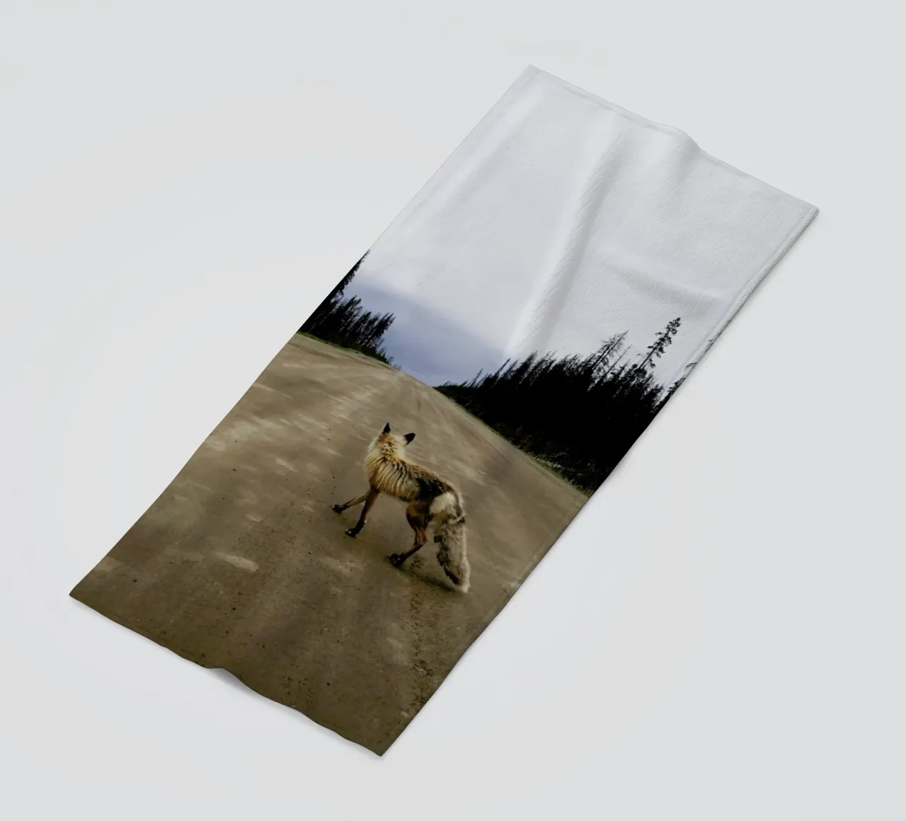 Road Fox telo mare da Kevin Russ