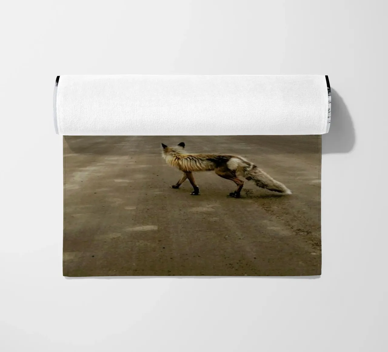 Road Fox telo mare da Kevin Russ