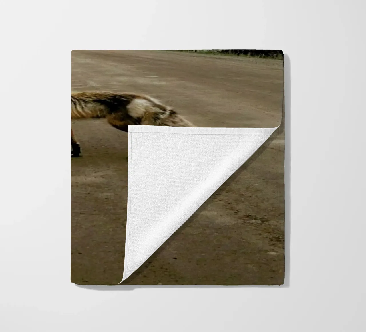 Road Fox telo mare da Kevin Russ