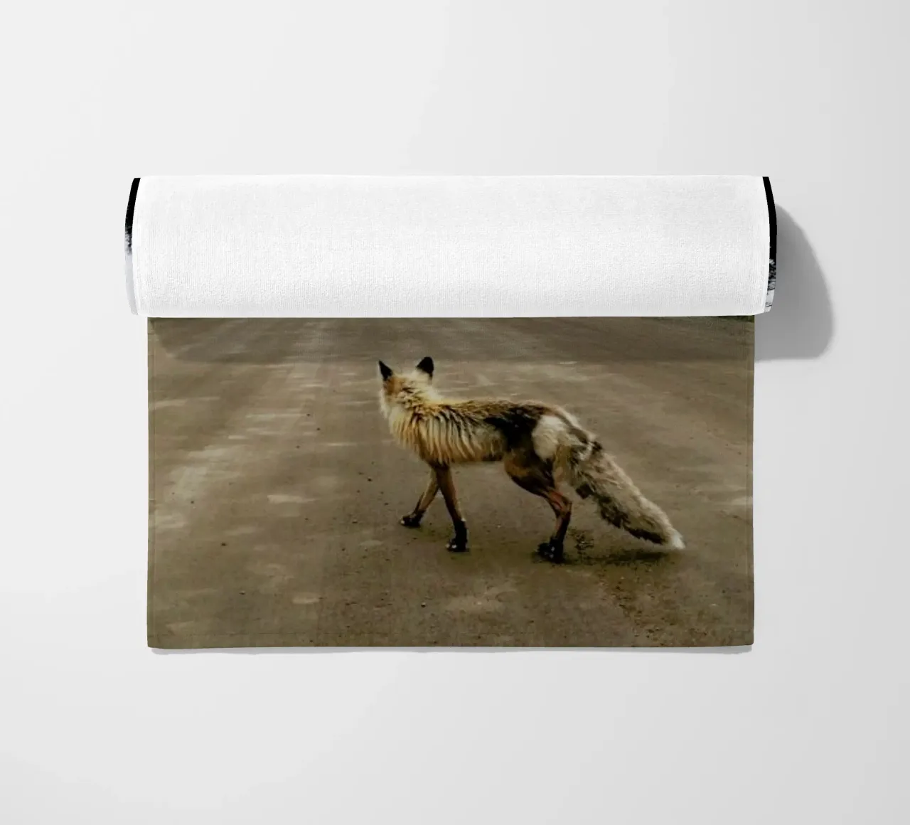 Road Fox telo mare da Kevin Russ