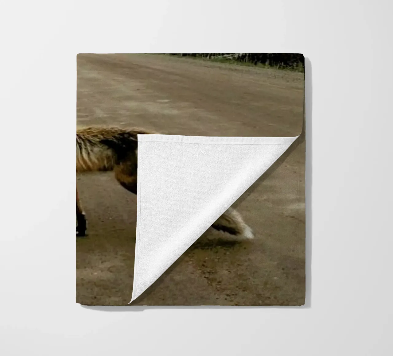 Road Fox telo mare da Kevin Russ