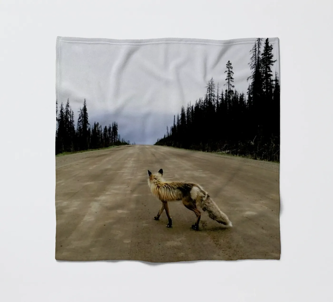 Road Fox Fleecedecke von Kevin Russ