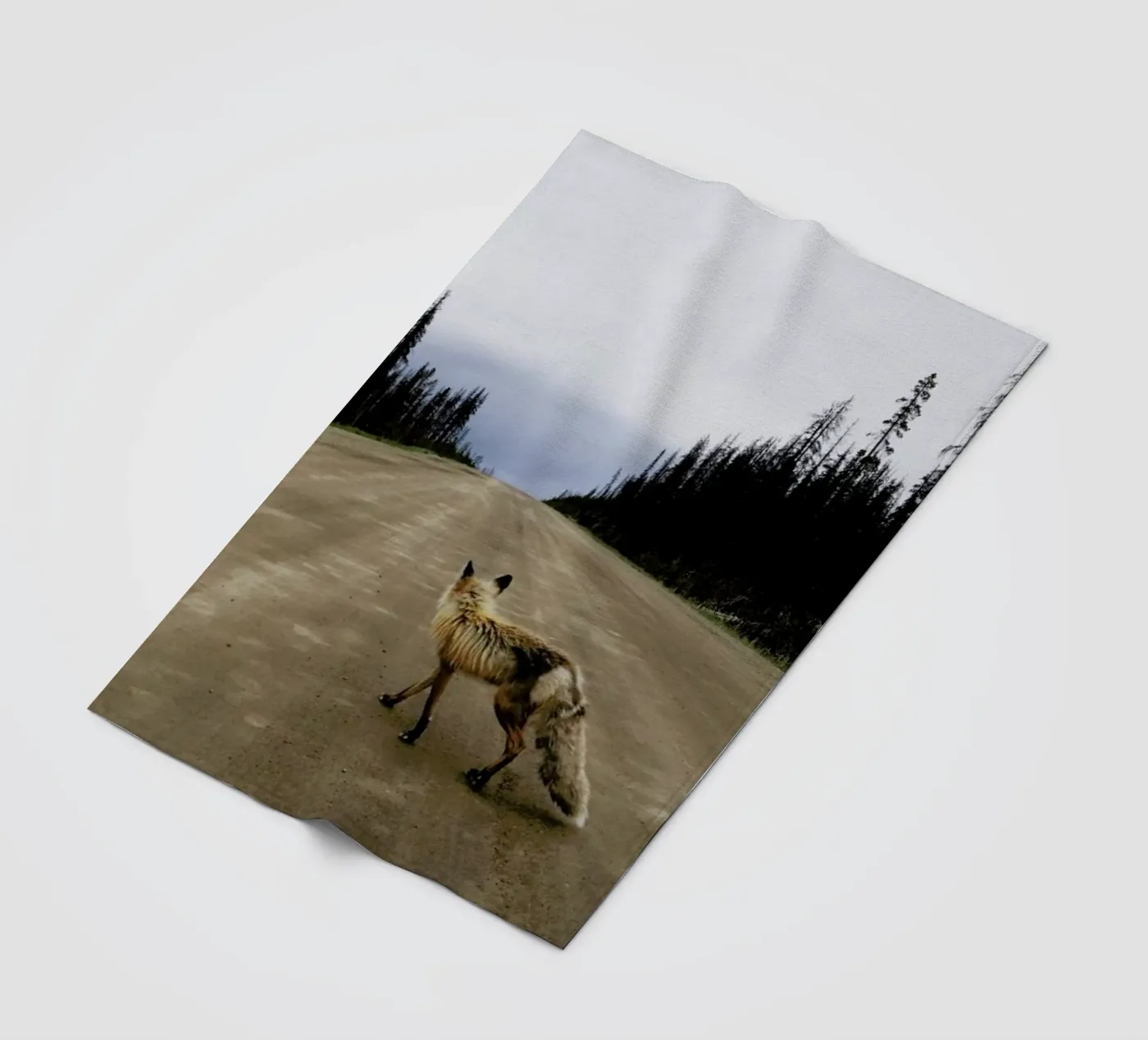 Road Fox Fleecedecke von Kevin Russ