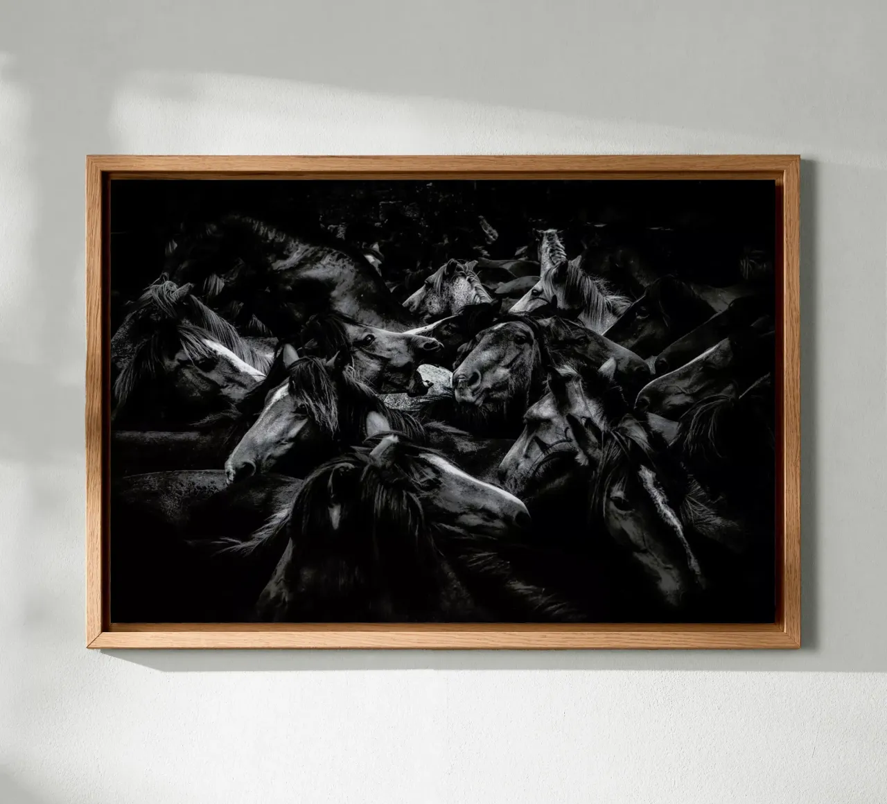 Acorralados - Alfonso Maseda Varela canvas by Pictufy