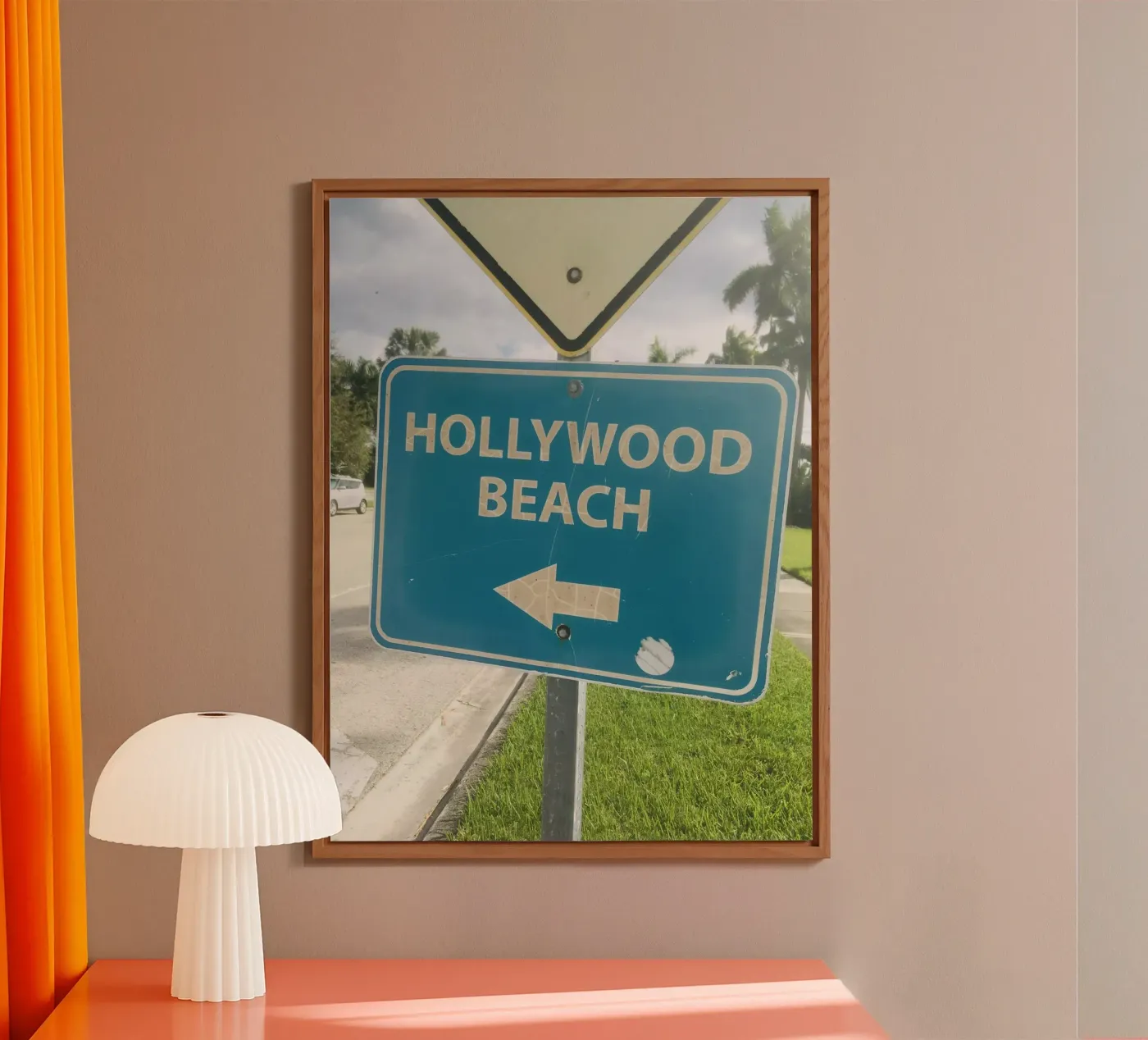 Florida forex plate by snapshots