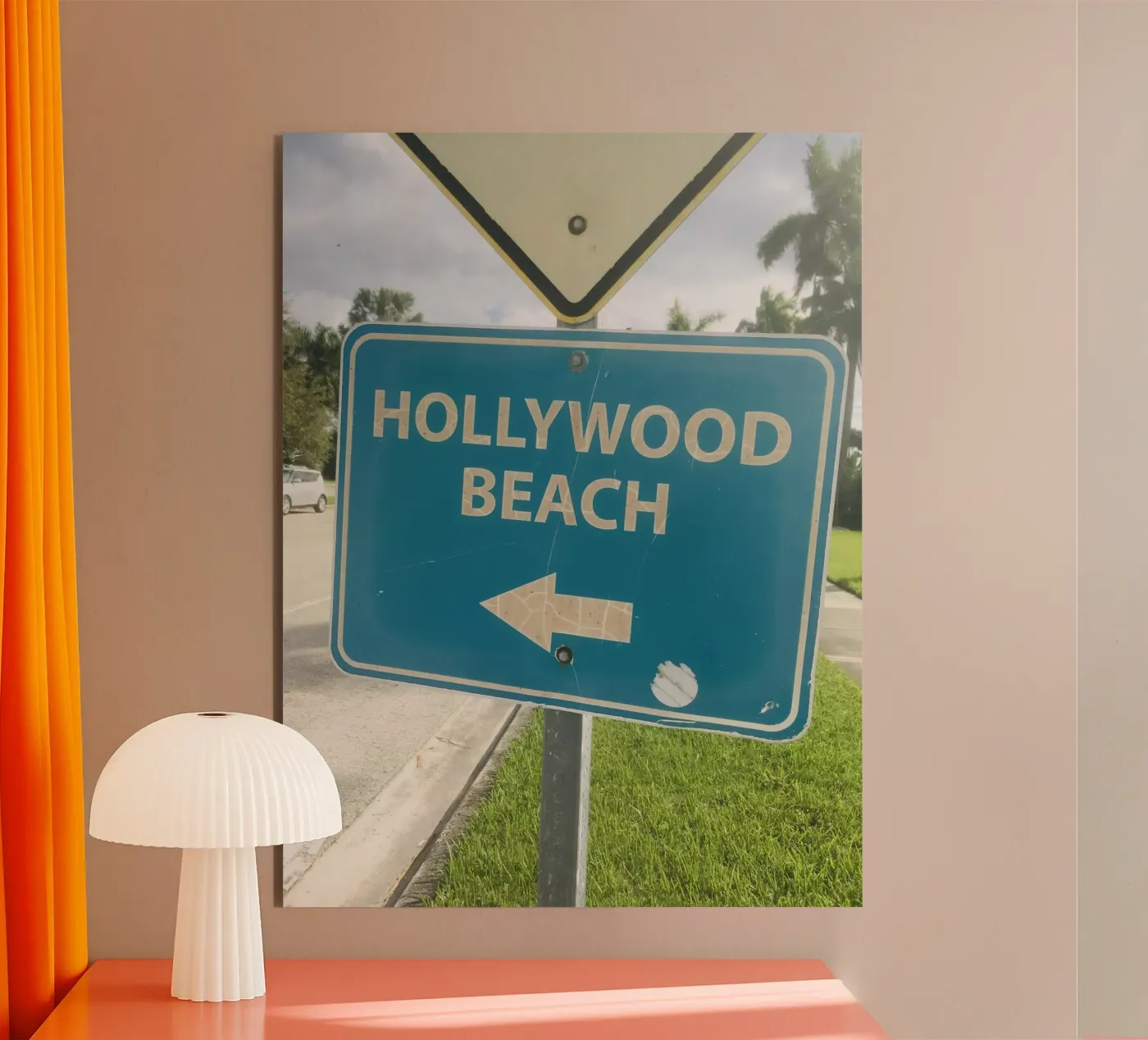 Florida forex plate by snapshots
