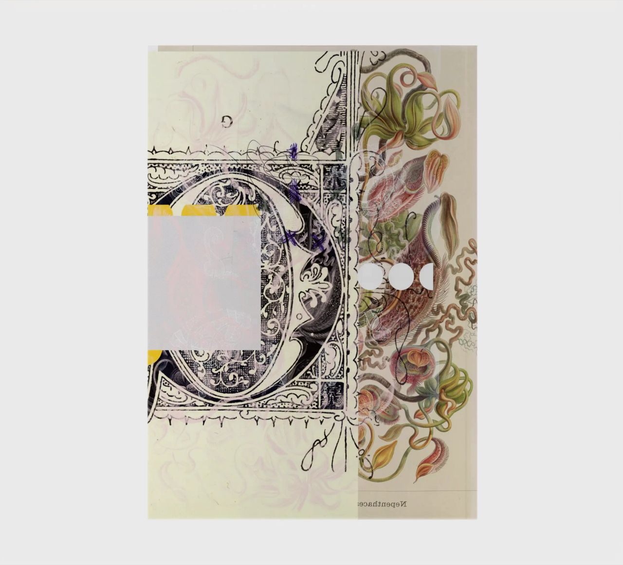 daydream floating g carnet de notes de Marko Köppe