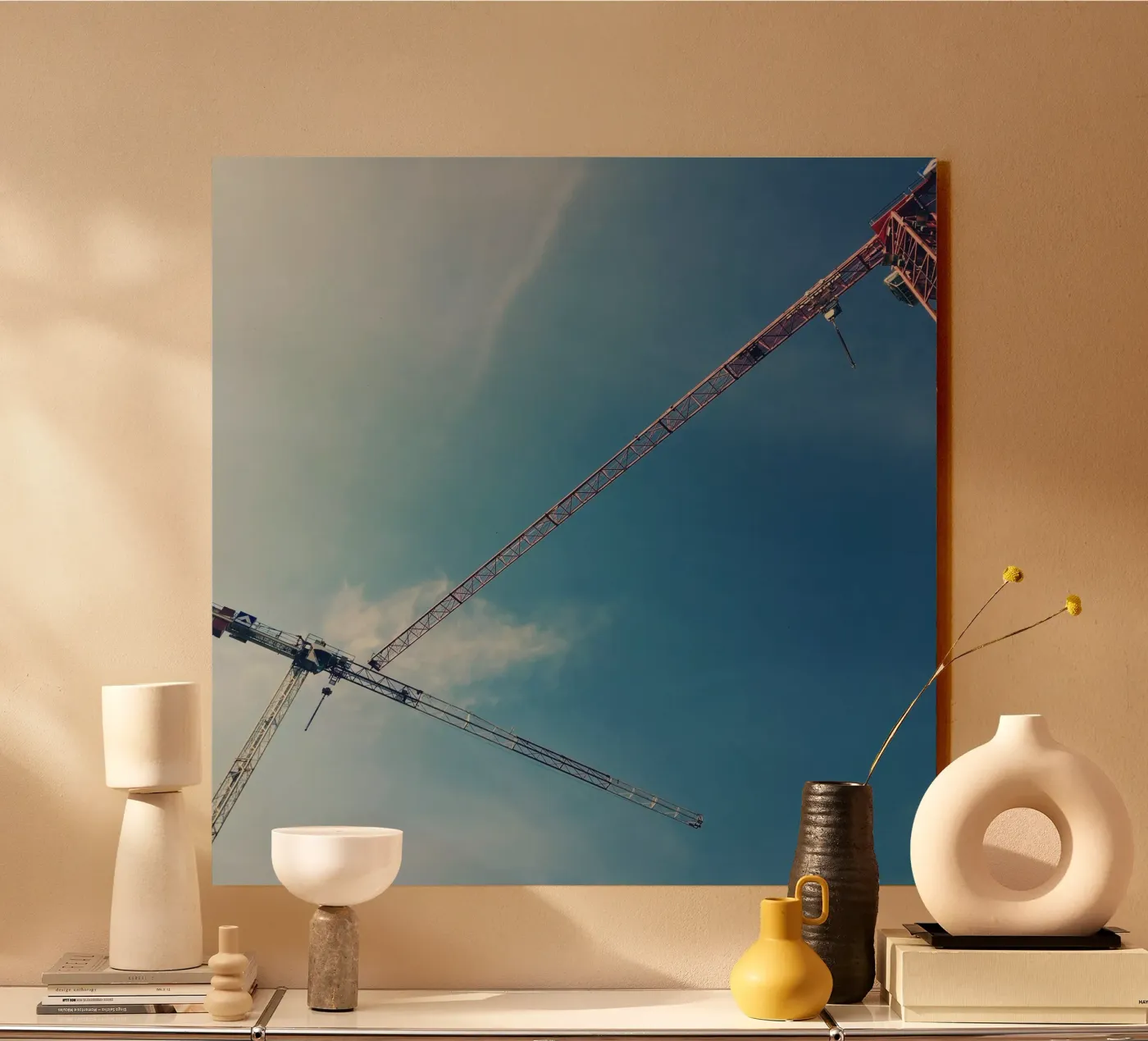 Cranes plexiglass da snapshots