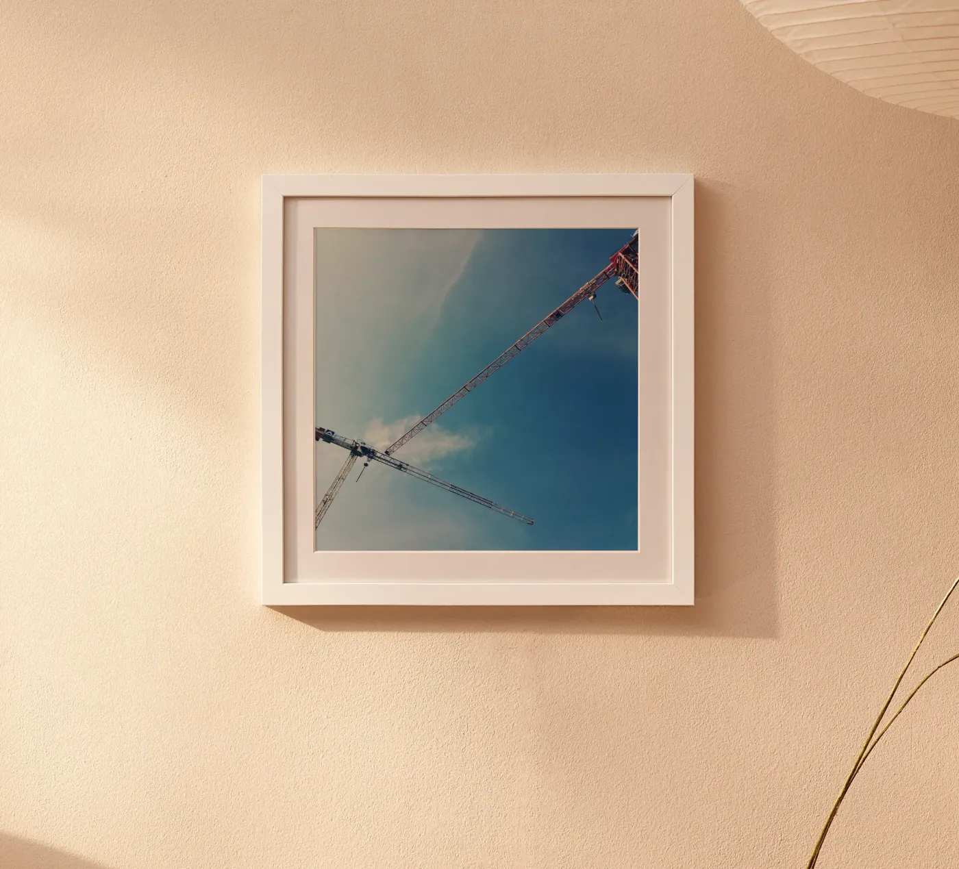 Cranes poster da snapshots