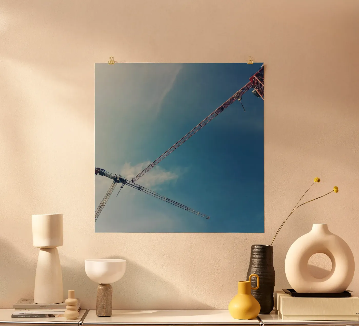 Cranes poster da snapshots