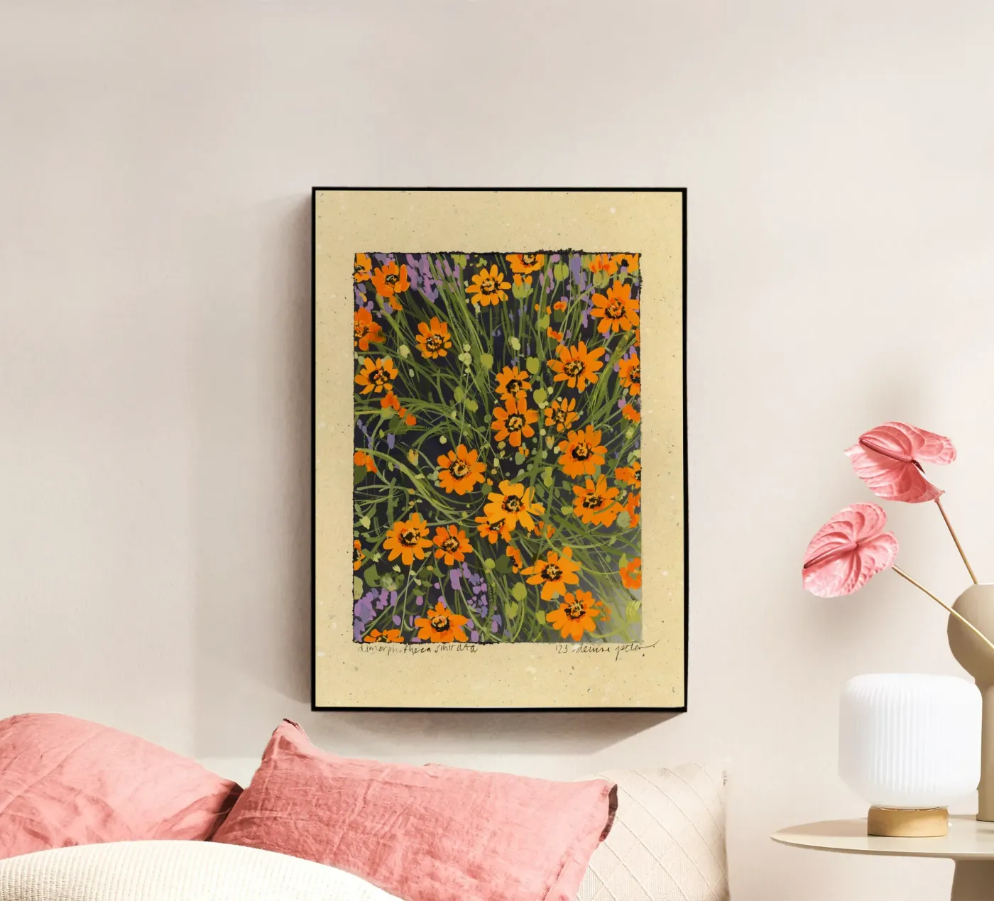 Dimorphoteca Sinuata plexiglass da Denaisx