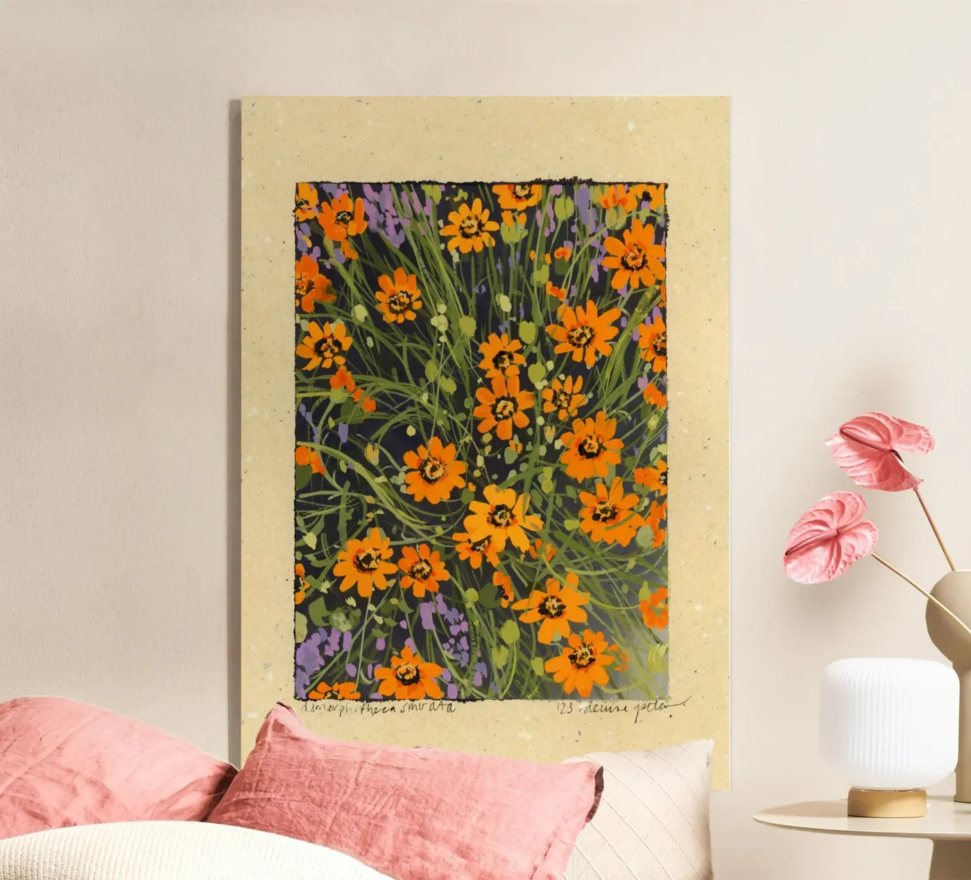 Dimorphoteca Sinuata plexiglass da Denaisx