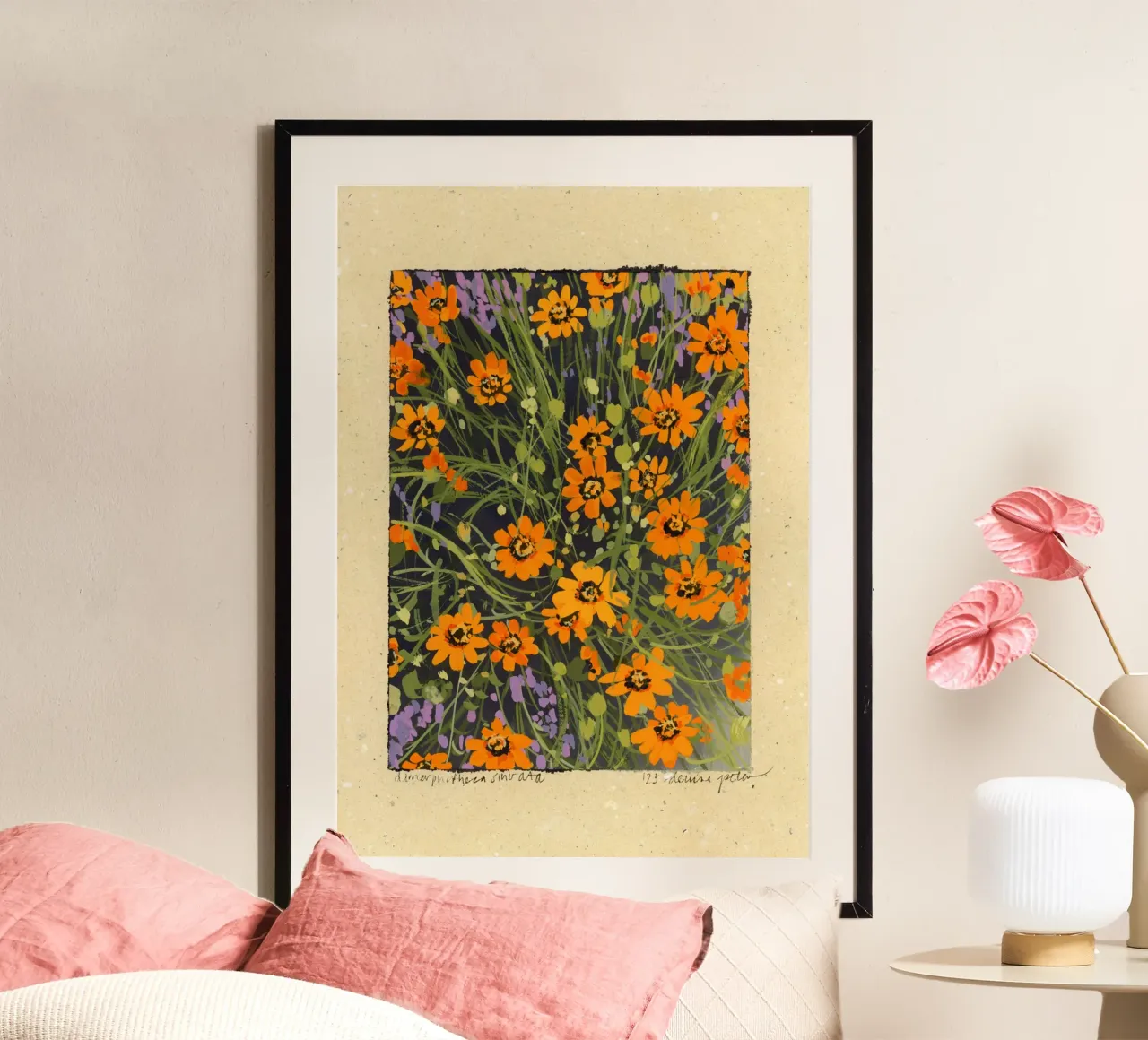 Dimorphoteca Sinuata poster da Denaisx