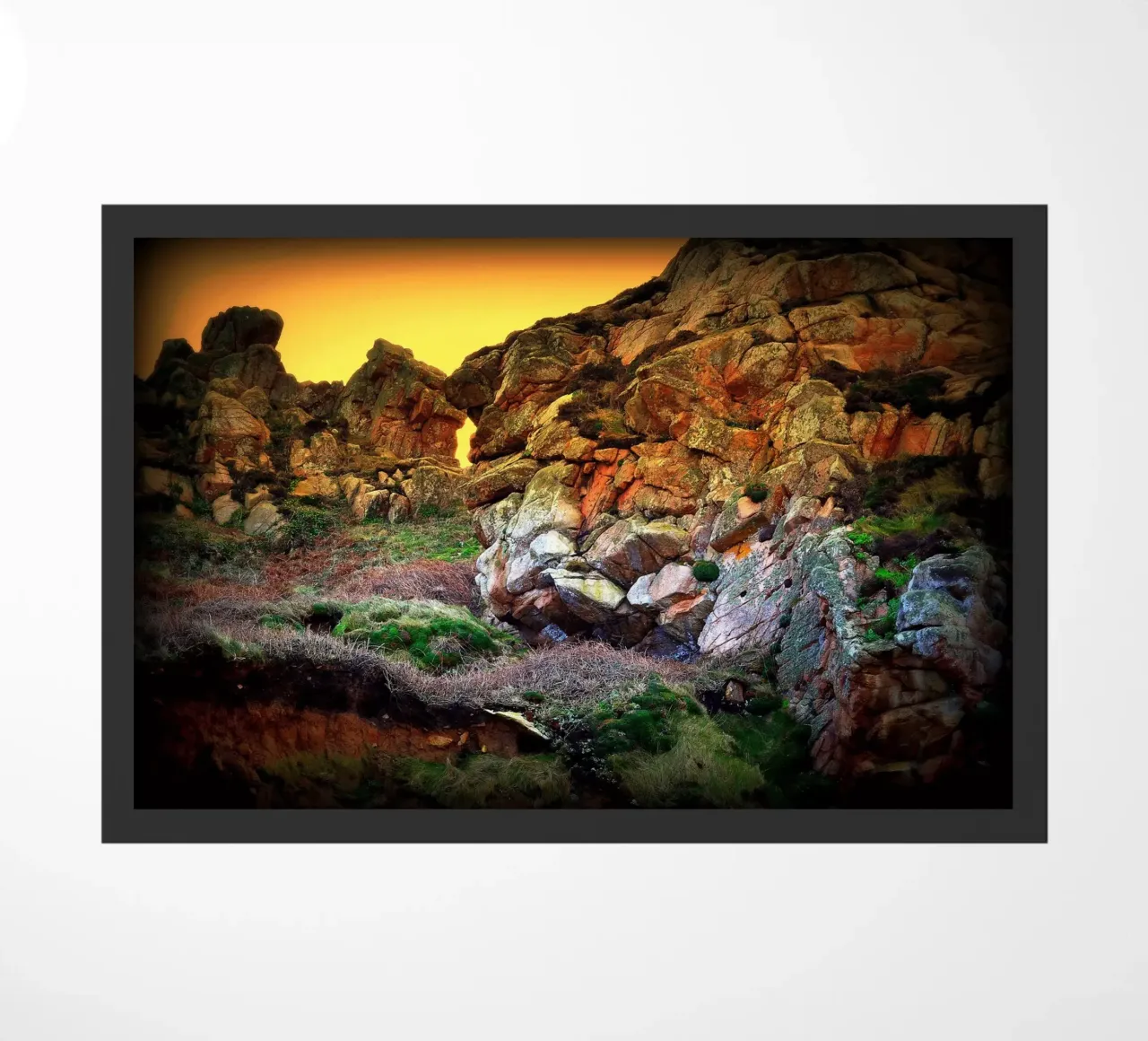 FAA42 zerbino da Thierry vobmann photography