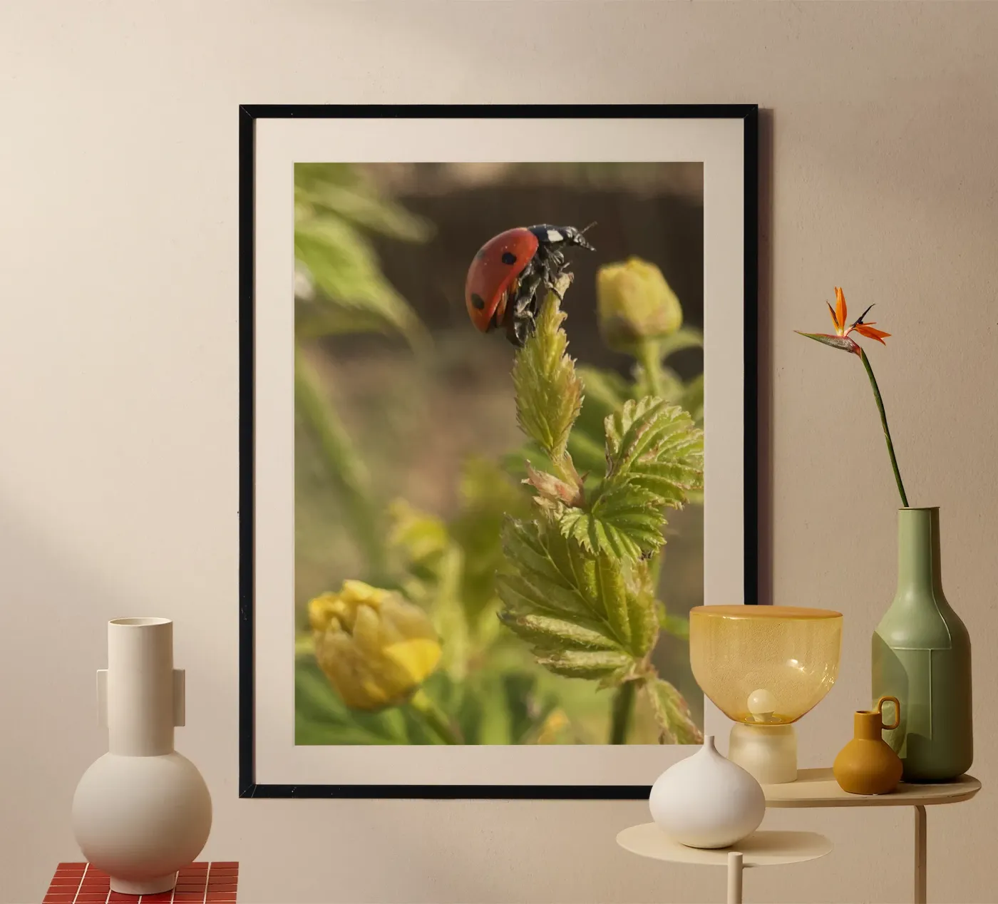 Coccin'aile poster da MiniClic
