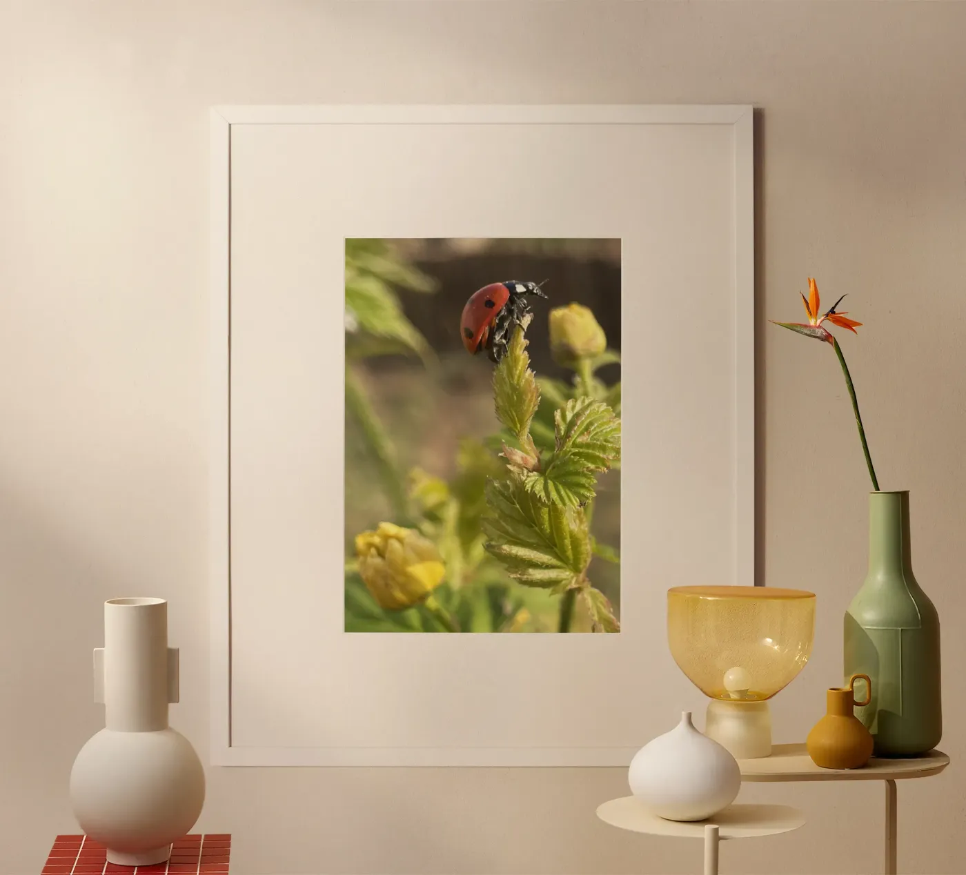 Coccin'aile poster da MiniClic