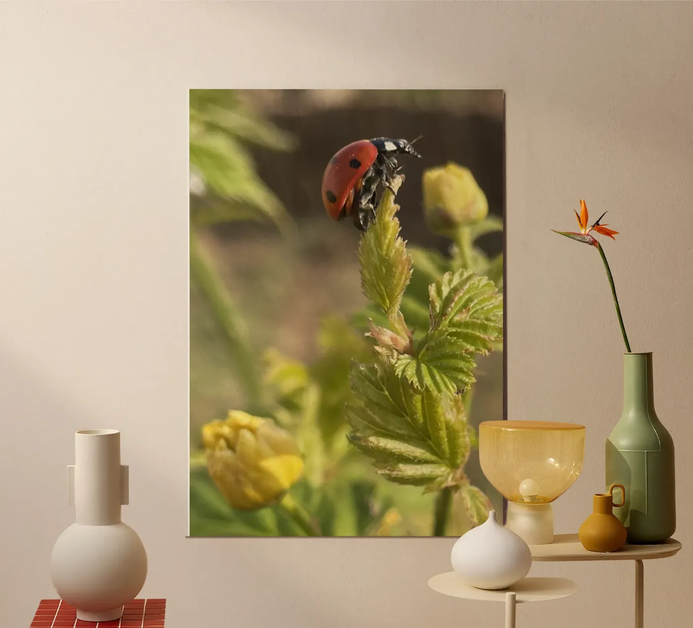 Coccin'aile poster da MiniClic