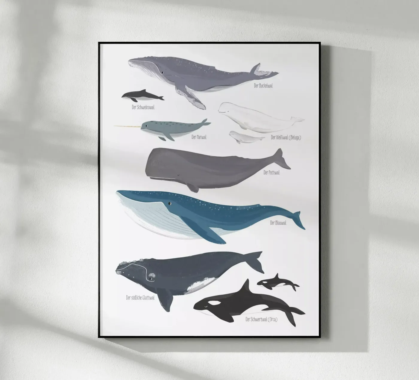 Wale Acryl-Glas von VIERUNDFÜNFZIG