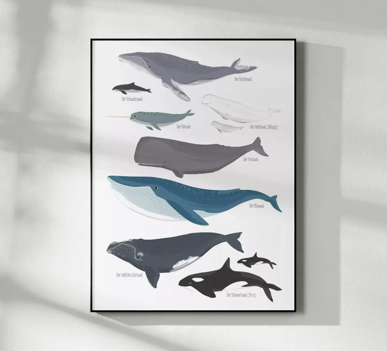 Wale plexiglass da VIERUNDFÜNFZIG