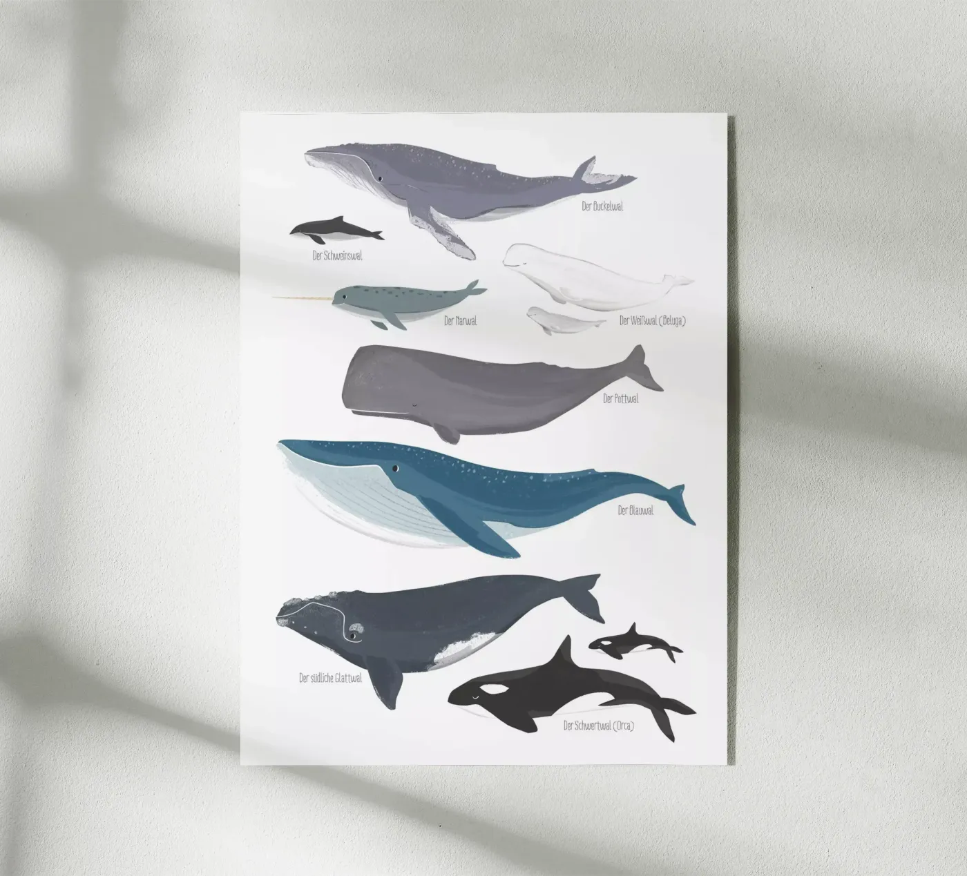 Wale Acryl-Glas von VIERUNDFÜNFZIG