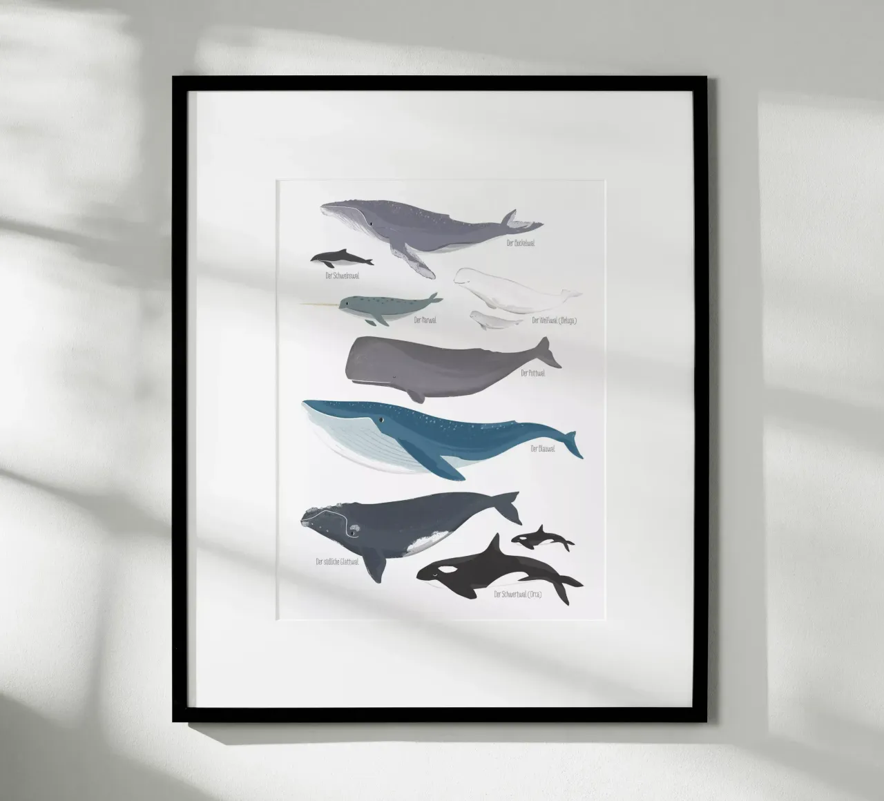 Wale poster met kunststof frame van VIERUNDFÜNFZIG