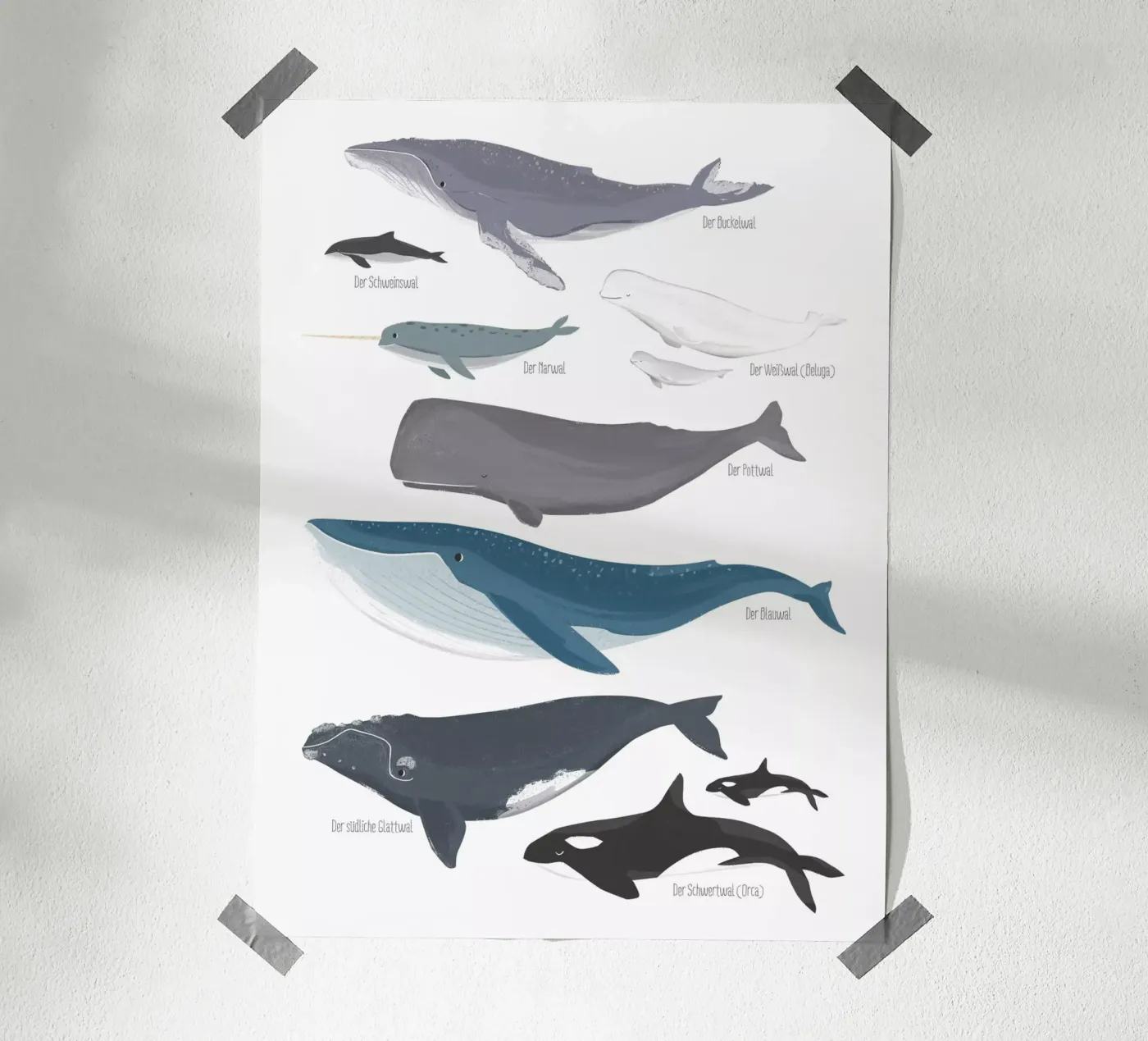Wale poster da VIERUNDFÜNFZIG