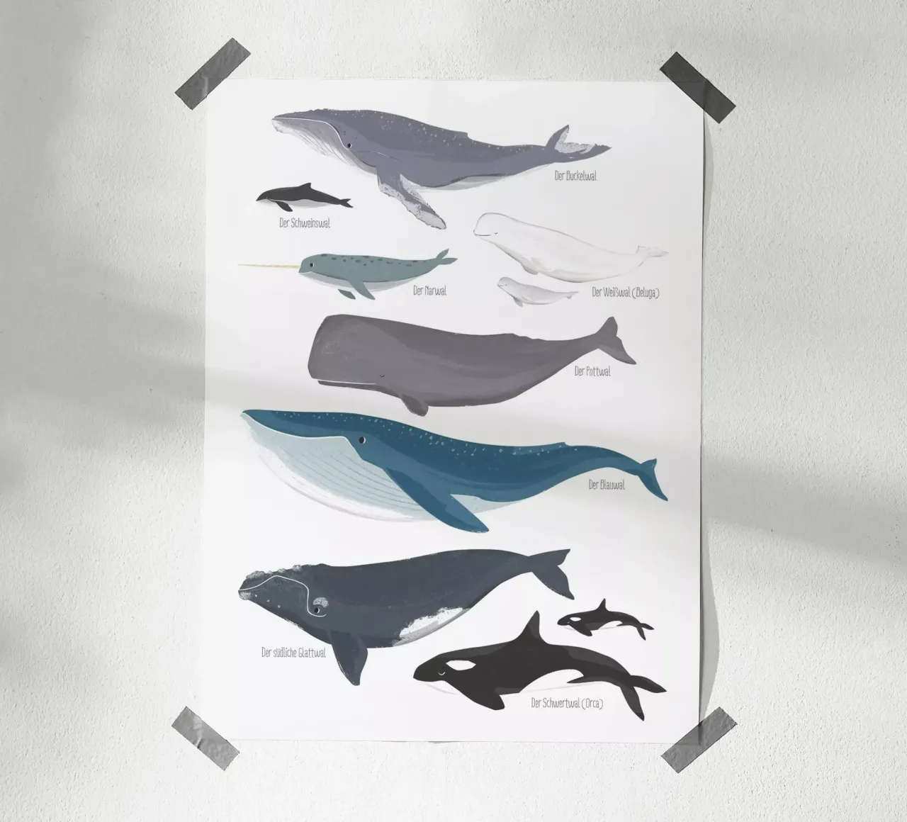 Wale poster da VIERUNDFÜNFZIG