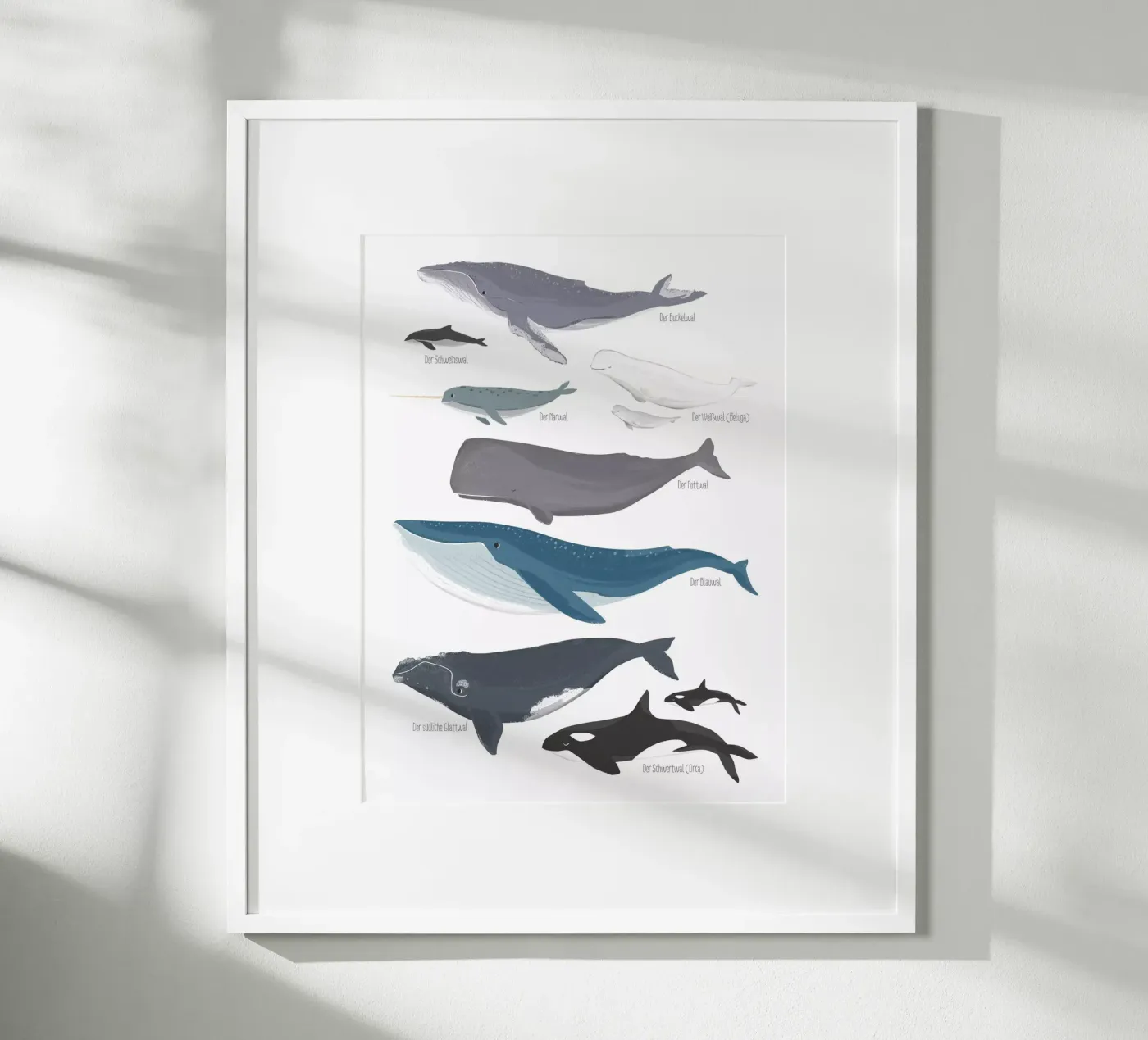 Wale poster da VIERUNDFÜNFZIG