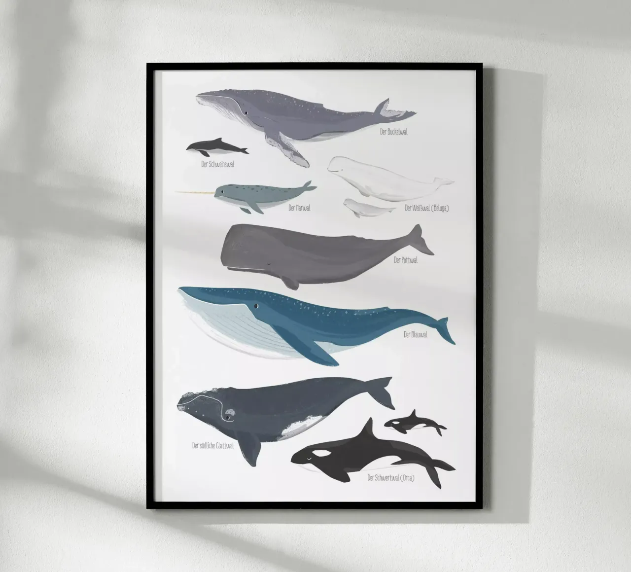 Wale poster met kunststof frame van VIERUNDFÜNFZIG