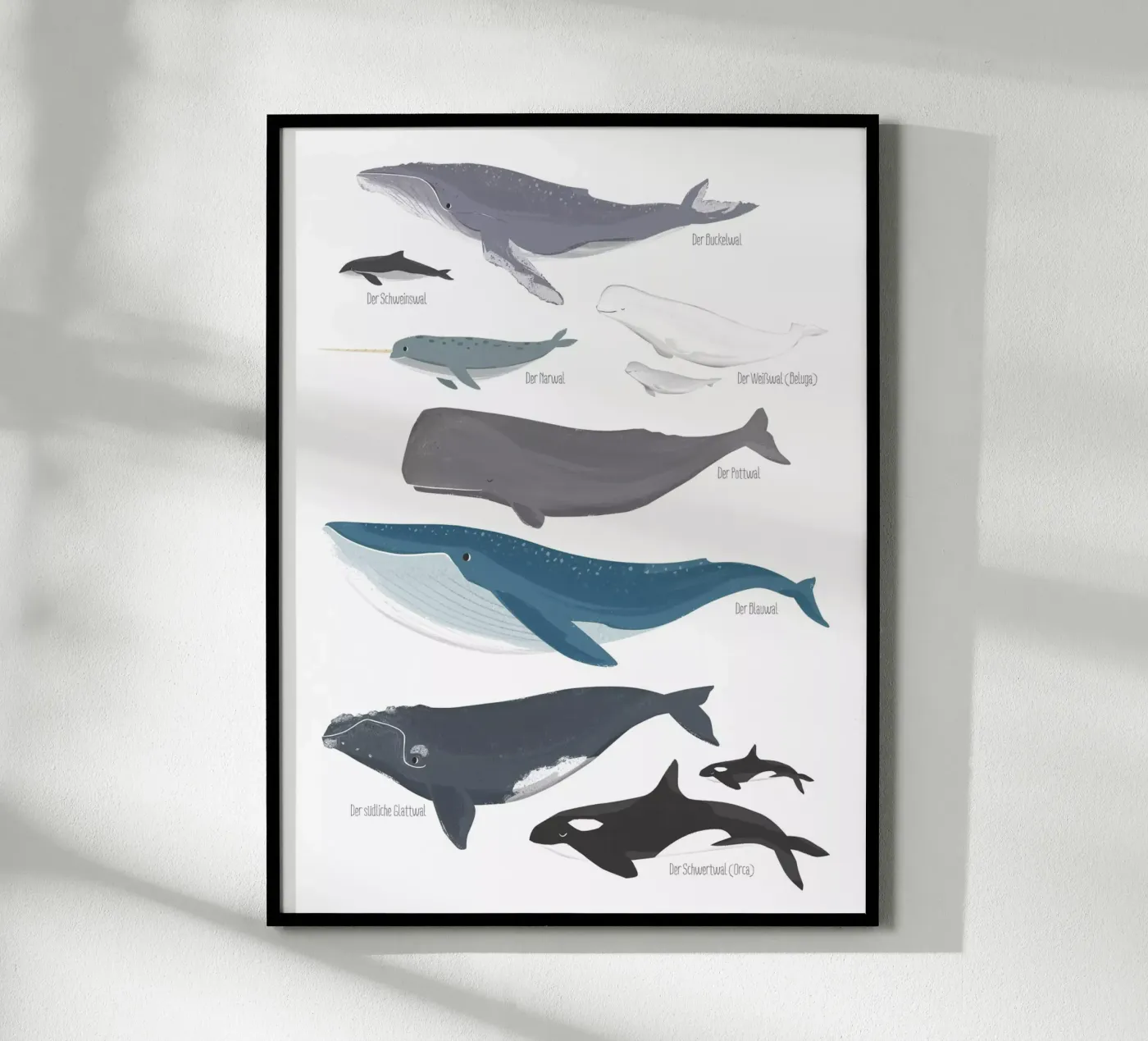 Wale poster da VIERUNDFÜNFZIG