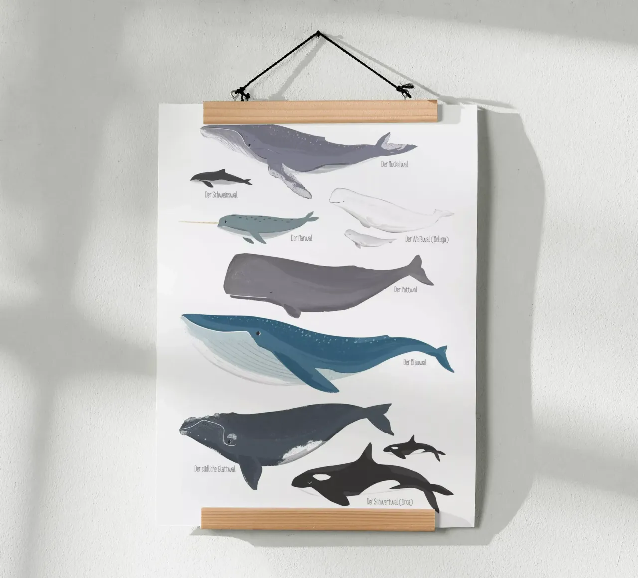 Wale poster da VIERUNDFÜNFZIG