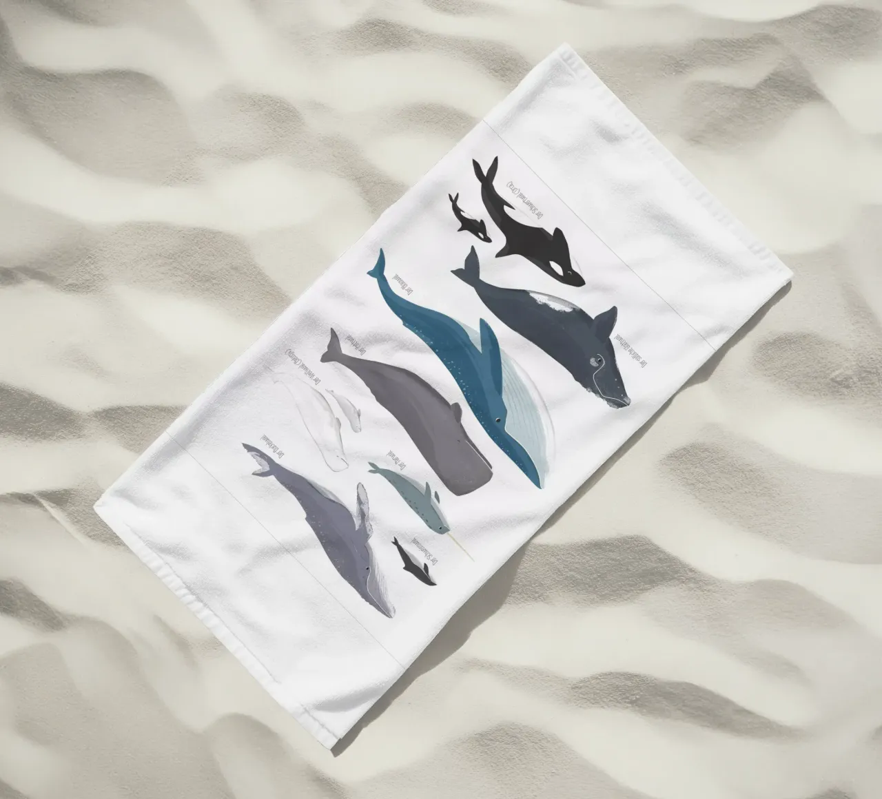 Wale telo mare da VIERUNDFÜNFZIG