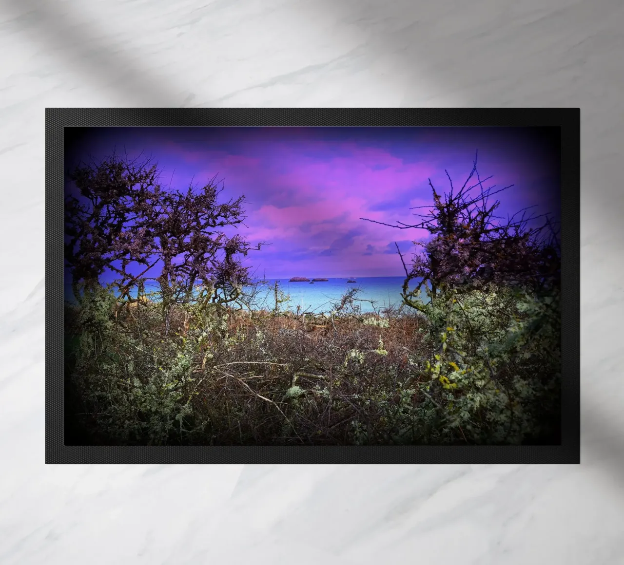 FAA43 zerbino da Thierry vobmann photography