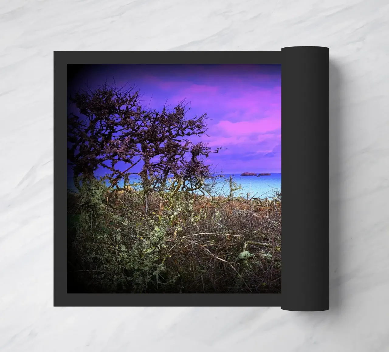 FAA43 zerbino da Thierry vobmann photography