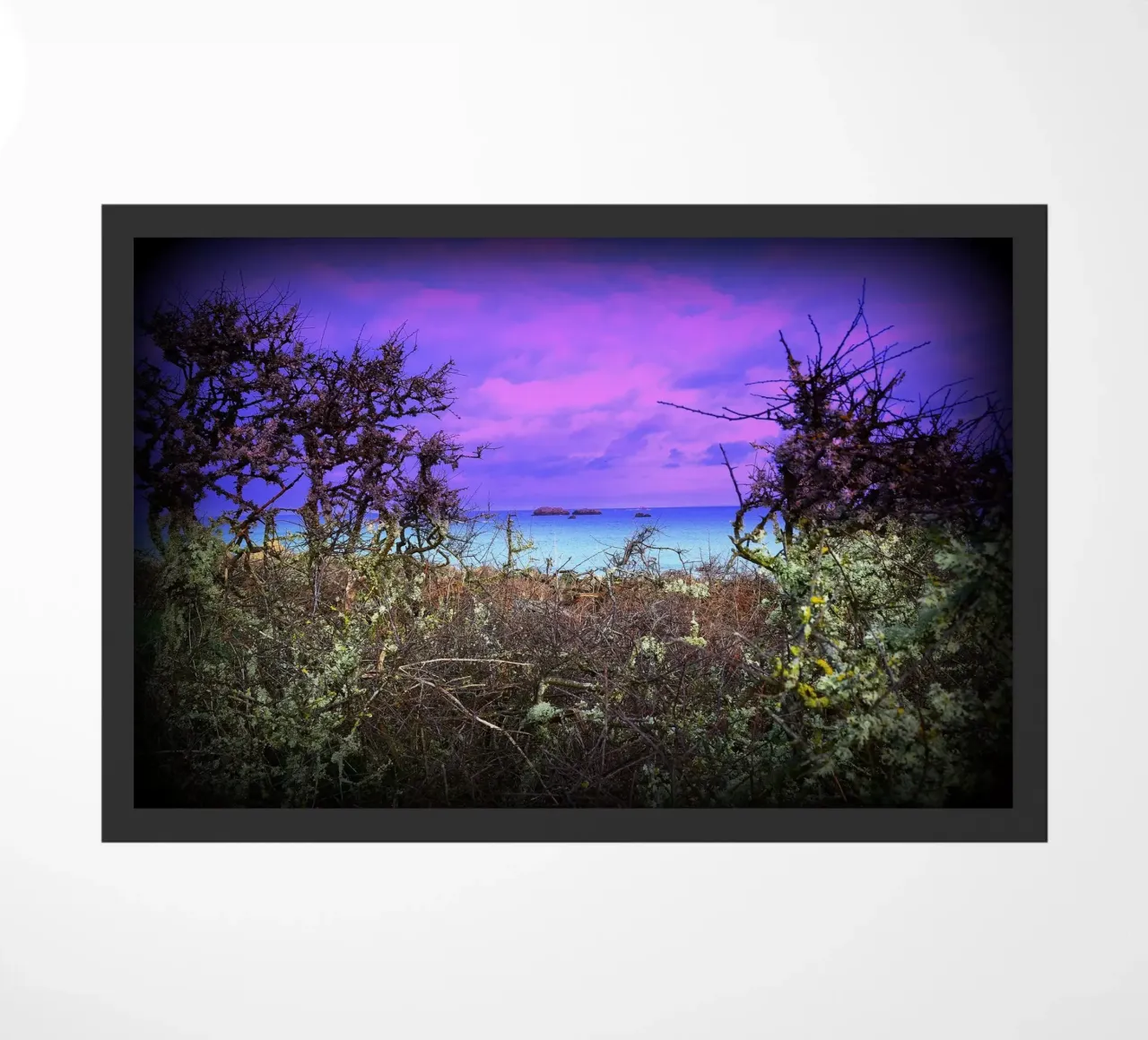 FAA43 zerbino da Thierry vobmann photography