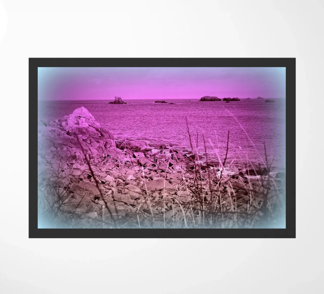 FAA44 zerbino da Thierry vobmann photography