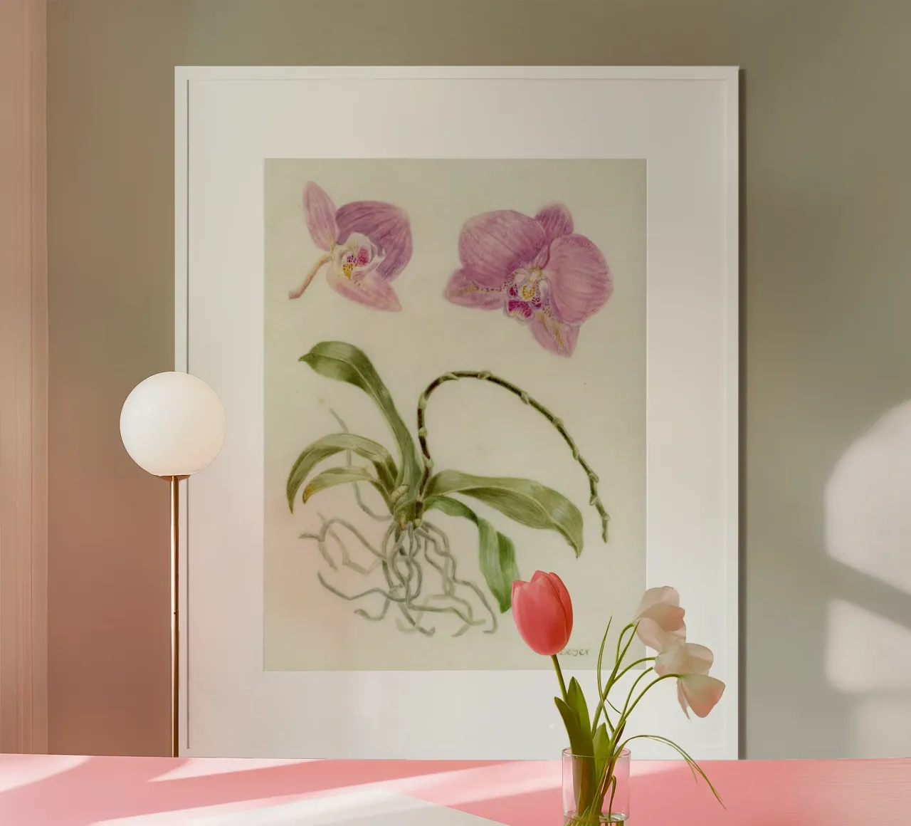 Botanical art - Phalaenopsis poster with aluminum frame by Victoriabeyer
