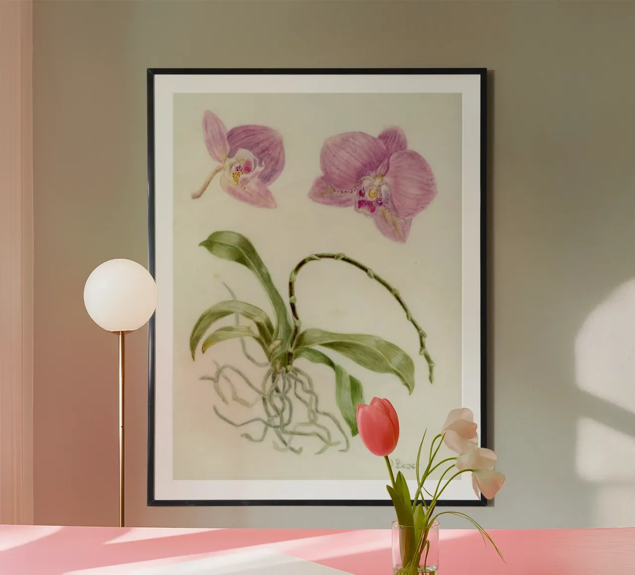 Botanical art - Phalaenopsis poster with aluminum frame by Victoriabeyer